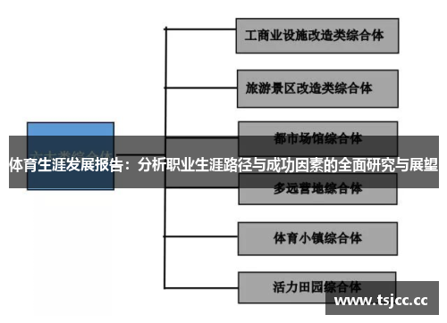 体育生涯发展报告：分析职业生涯路径与成功因素的全面研究与展望