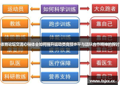 体育论坛交流心得体会如何提升运动员竞技水平与团队合作精神的探讨