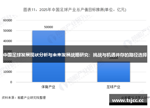 中国足球发展现状分析与未来发展战略研究：挑战与机遇并存的路径选择