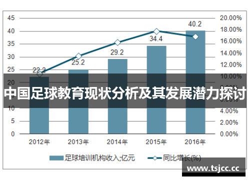 中国足球教育现状分析及其发展潜力探讨