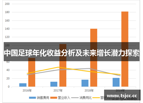 中国足球年化收益分析及未来增长潜力探索