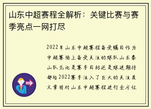 山东中超赛程全解析：关键比赛与赛季亮点一网打尽